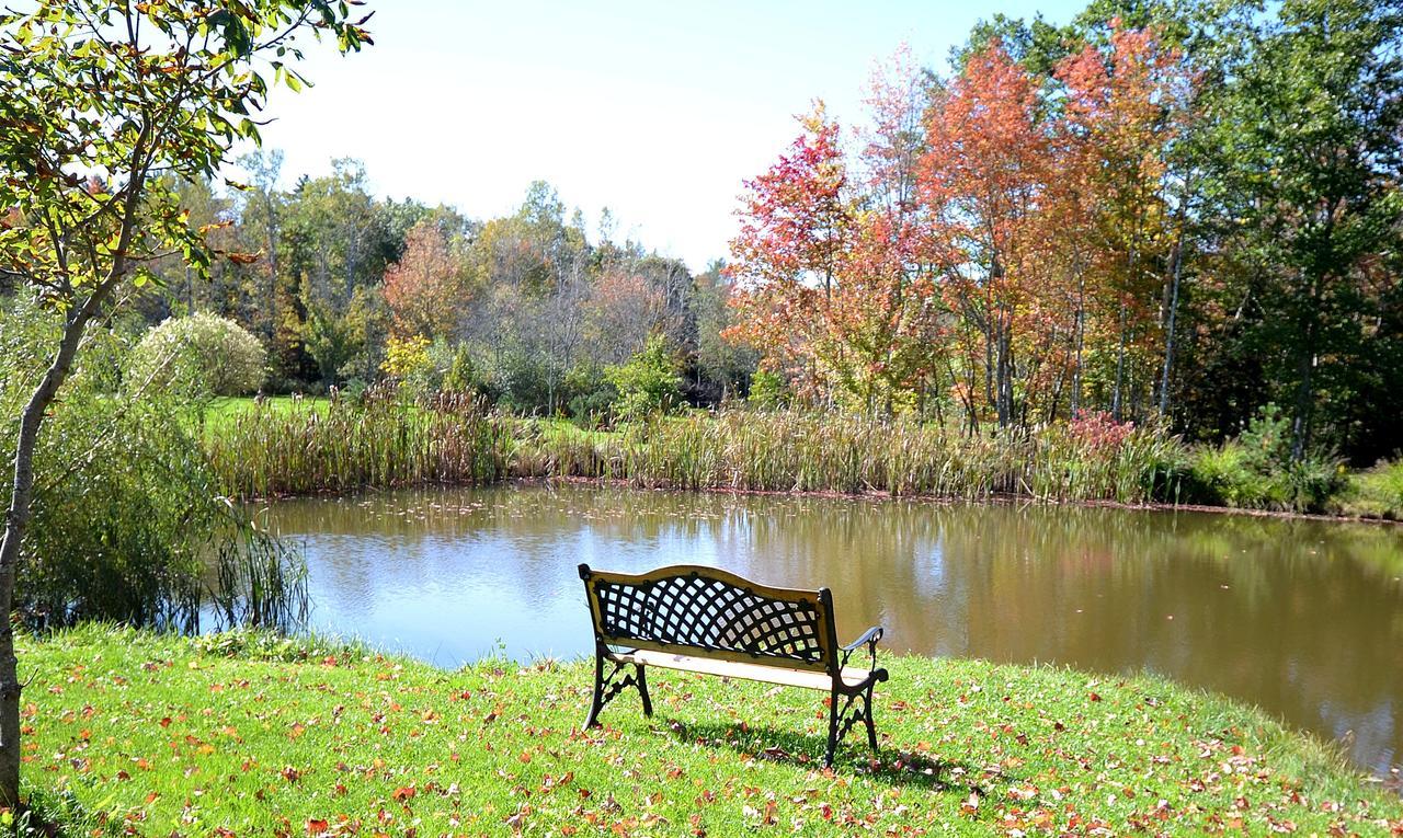 Briarwood Bed & Breakfast Bed and Breakfast Elmsdale Kamer foto